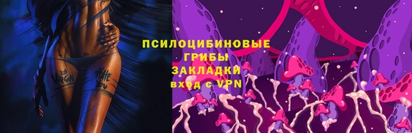 стаф Пересвет