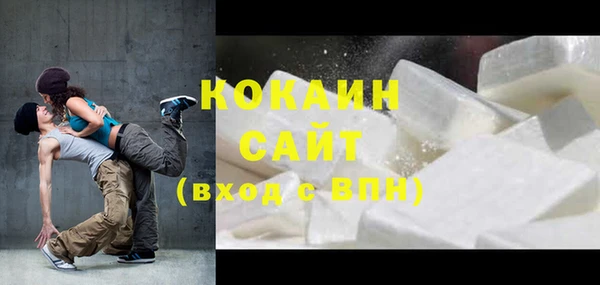 индика Аркадак