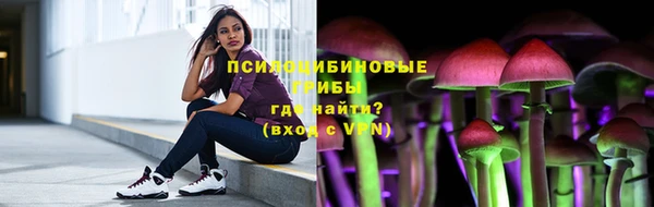 индика Аркадак