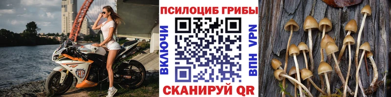 даркнет сайт  Чернушка  Галлюциногенные грибы GOLDEN TEACHER 